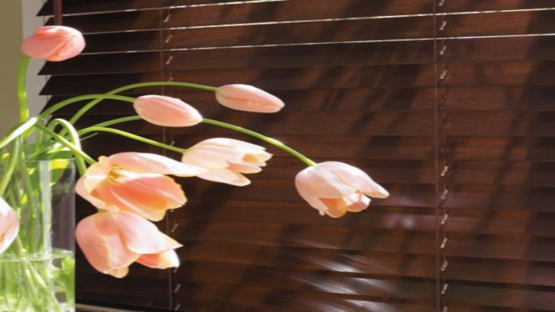 Why You Should Improve Your Homeâ€™s Exterior: Shutters in Sarasota, FL