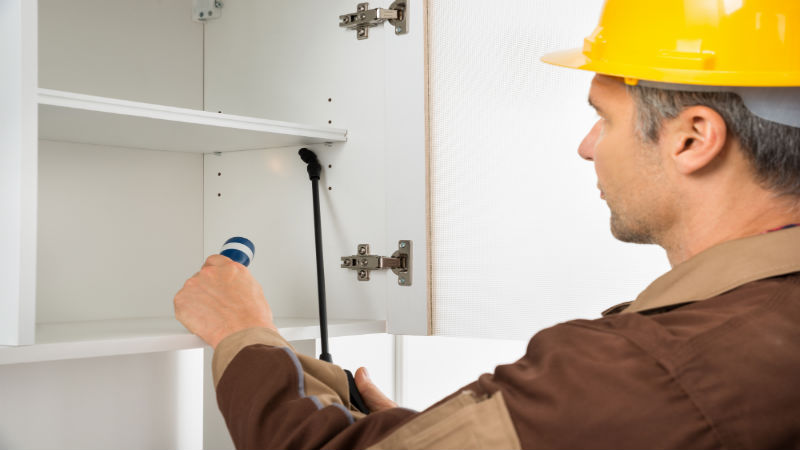 What To Expect From Ornamental Pest Control Services In Wellington, Florida