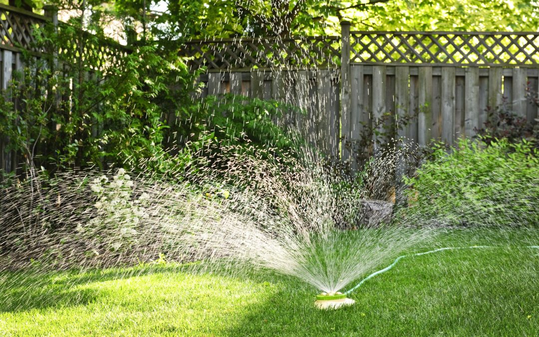 Save Time and Achieve Quality Results with a Lawn Maintenance Company in Reading, PA