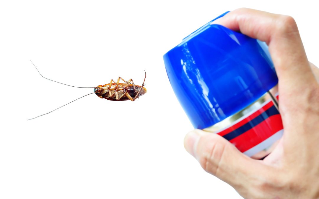 Most Common Causes of Infestations Requiring Home Pest Control in Minnesota