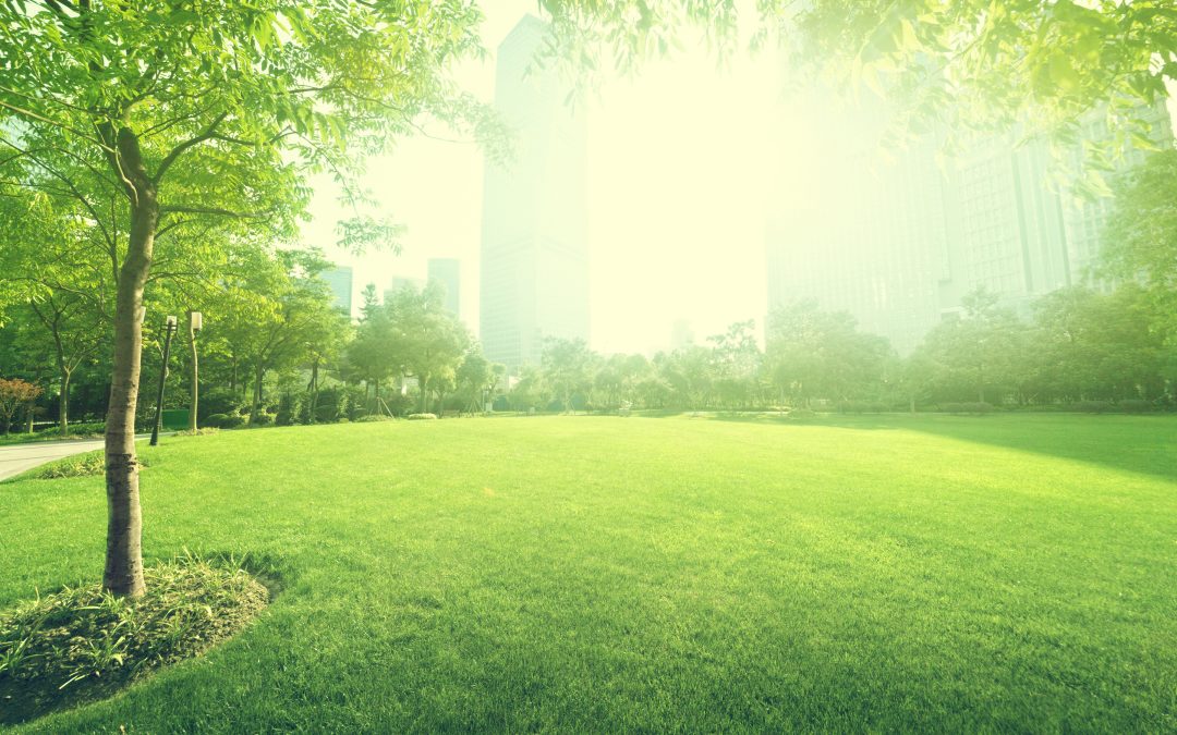 3 Hiring Questions Before Choosing a Team for Landscaping Construction in Fresno, CA