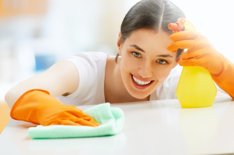 Experience the Difference with House Cleaning Services in Alameda, CA