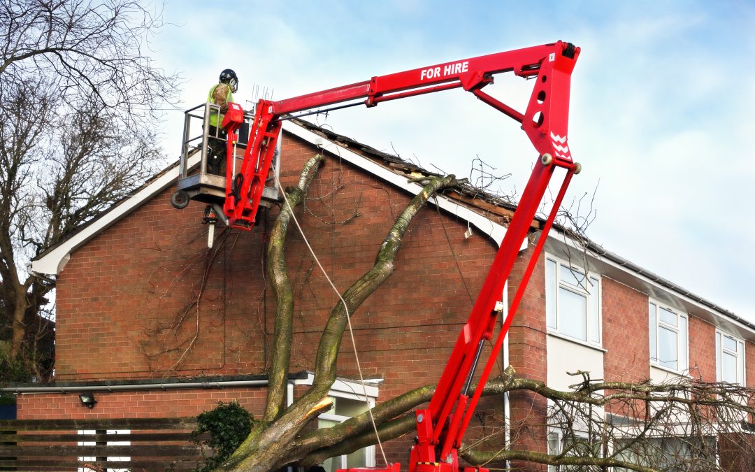 Steps to Safely Handle Storm Damage Restoration Brooklyn NY Homeowners Can Rely On