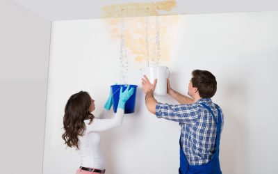Essential Steps Homeowners Should Take for Water Damage Cleanup Brooklyn NY Services