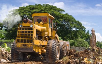How Land Clearing Fort Walton Beach FL Transforms Overgrown Lots into Usable Property