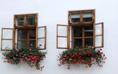 How Wood Windows In Charleston SC Enhance Historic Homes And Modern Residences