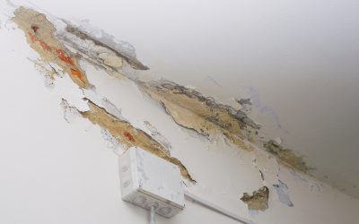 Common Signs You May Need Drywall Repair in Holly Springs GA
