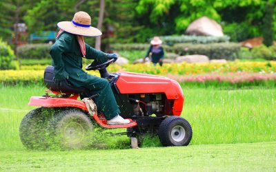 Lawn Maintenance Services in Wesley Chapel FL: Building a Reliable Schedule