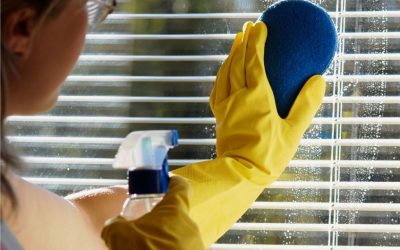 Benefits of Professional Home Window Cleaning for Busy Families